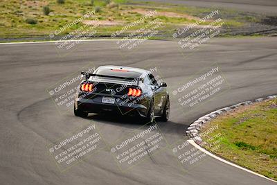 media/Feb-25-2024-Speed Ventures (Sun) [[b9a2a97a4d]]/Mustang Drivers Club/Session 1 (Turns 4 and 5)/